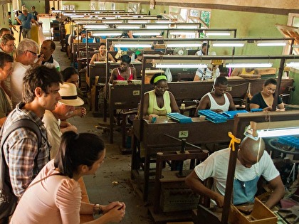 tobacco factory tour Visit to a cigar factory - Centro Habana, Havana, Cuba